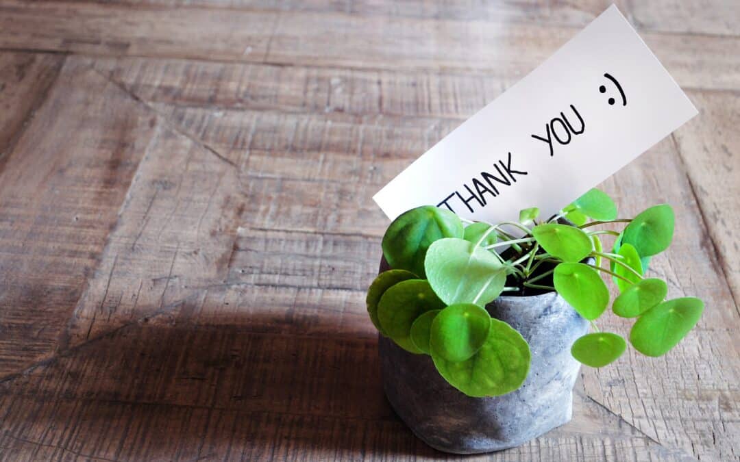 small grey pot on wooden table. Pot contains a green leaf plant with a tag in with the words thank you